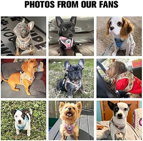 Safe Harness for Small Dogs and Cats Reflective Plaid Set