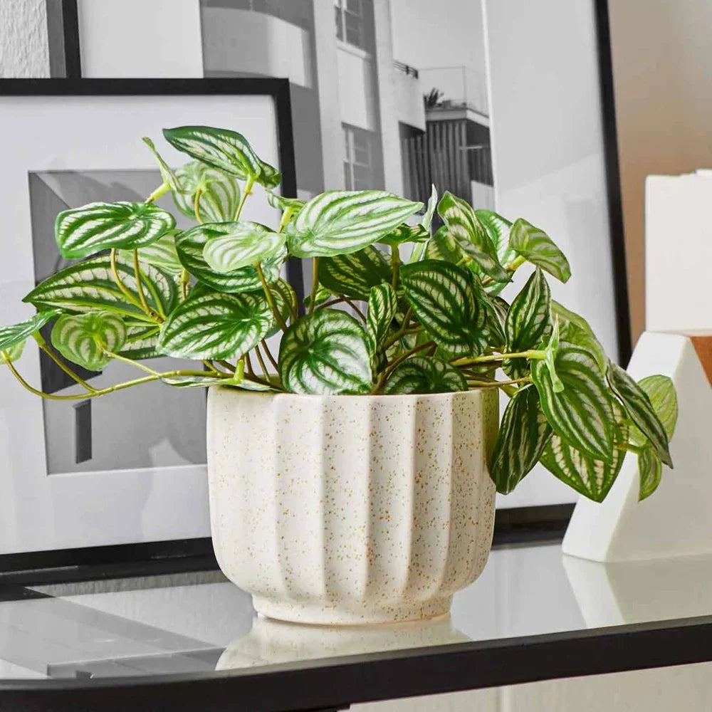 Ceramic Ribbed Vase 4.5 Inch Cream White Indoor Plants Home Decor