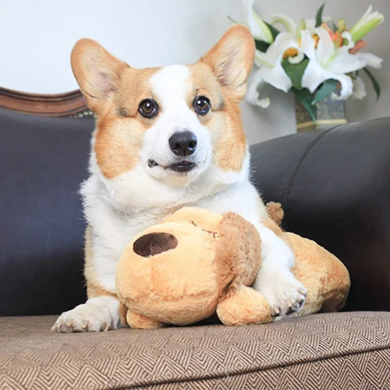 Cute Heartbeat Puppy Training Toy Plush Snuggle Sleep Aid