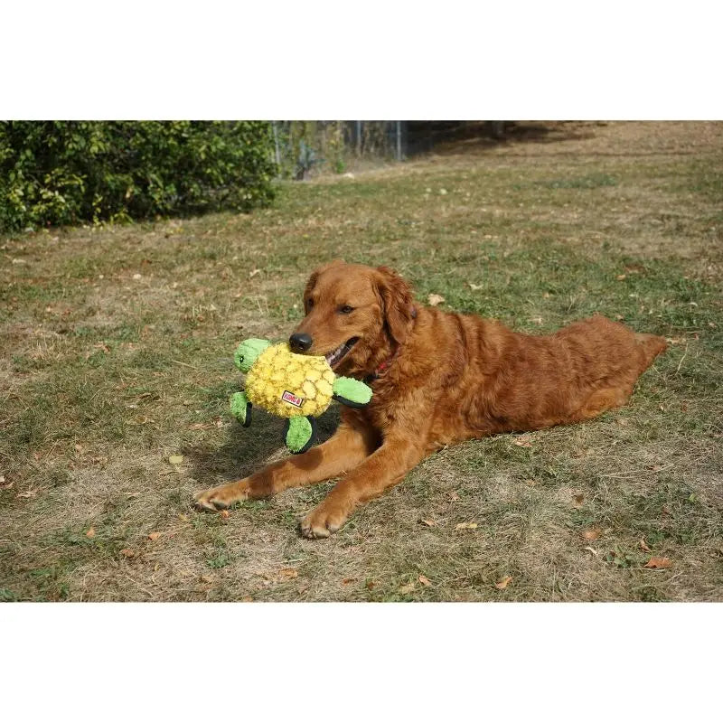 Turtle Dog Toy Plush Durable Chew Resistant Squeaky Rattle