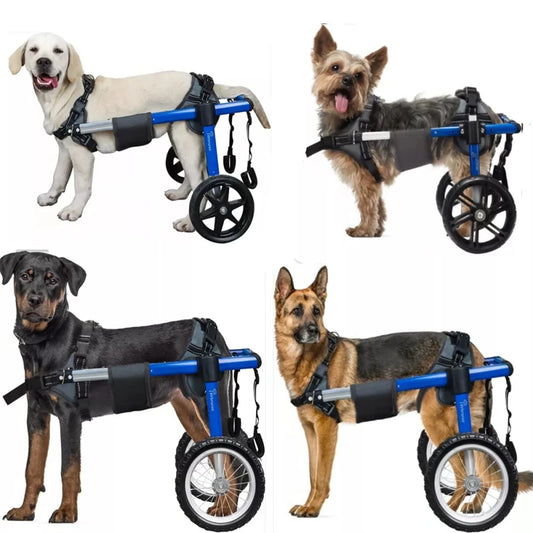 Large Dog Wheelchair For Back Legs With All Terrain Tires And Durable Bearings