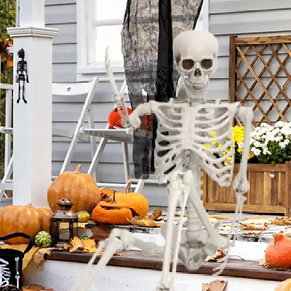 Poseable Skeleton Prop Life Size Decoration for Halloween