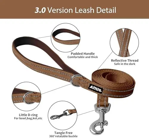 Adjustable Dog Harness And Leash Set Padded Vest Easy Fit For Small Pets