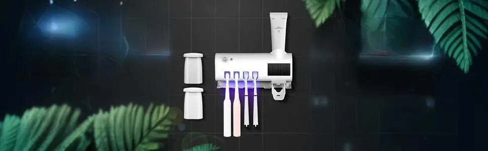 Wall Mounted Toothbrush Dispenser With Four Slots