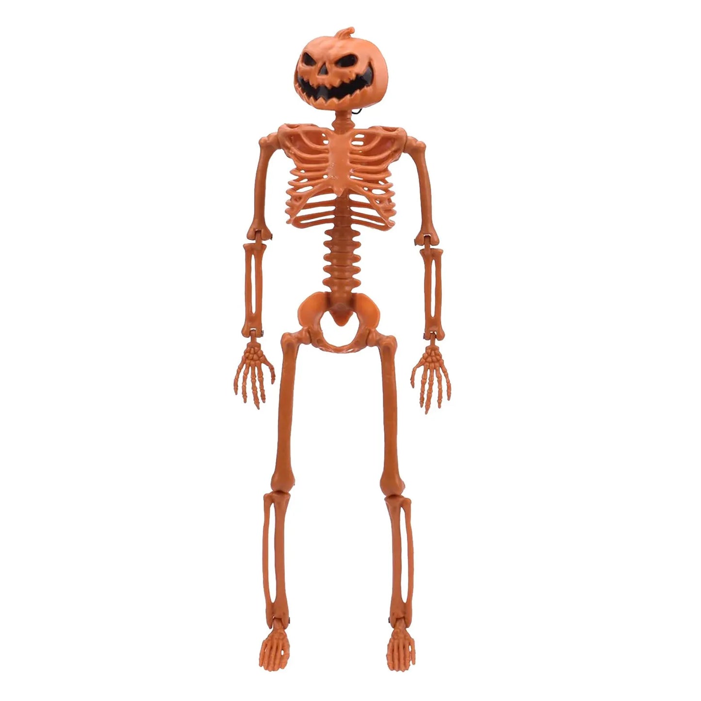 Poseable Halloween Skeleton Prop Full Size 35 Inch Decor