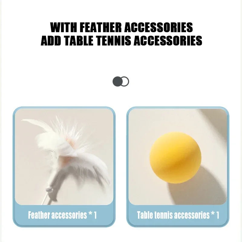Gravity Table Tennis Cat Toy With Catnip Ball Turntable