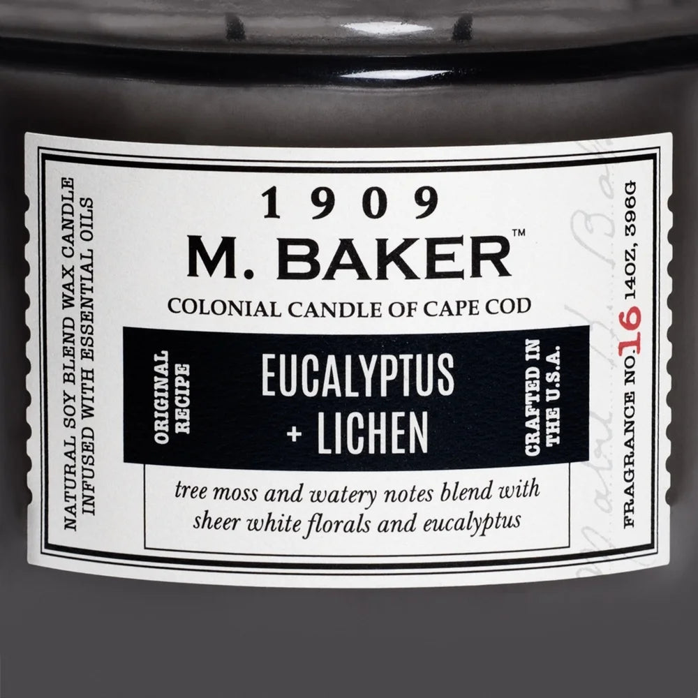 Eucalyptus Lichen Aromatherapy Candle With Soy Wax 2 Wicks 60 Hour Burn Time