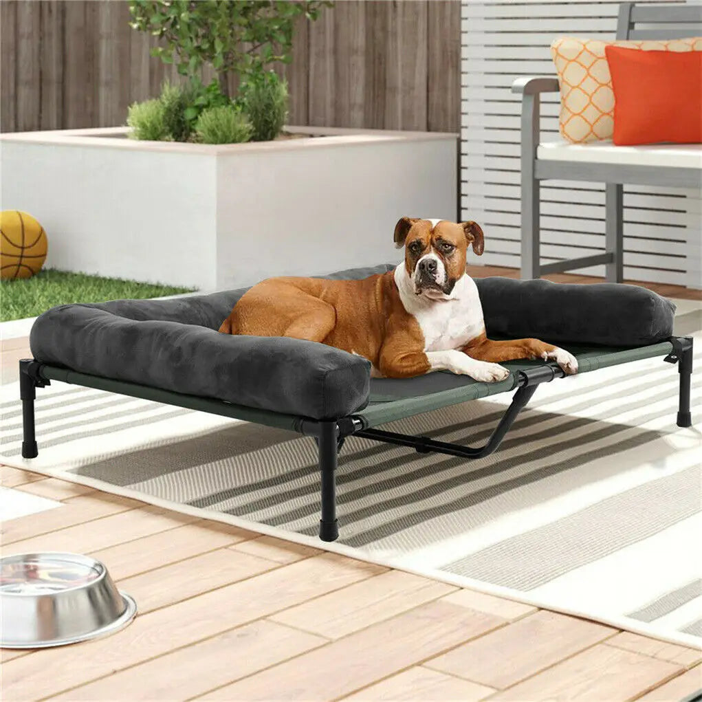 Elevated Dog Bed IndoorOutdoor Lounger L XL 2XL With Detachable Bolster Cooling
