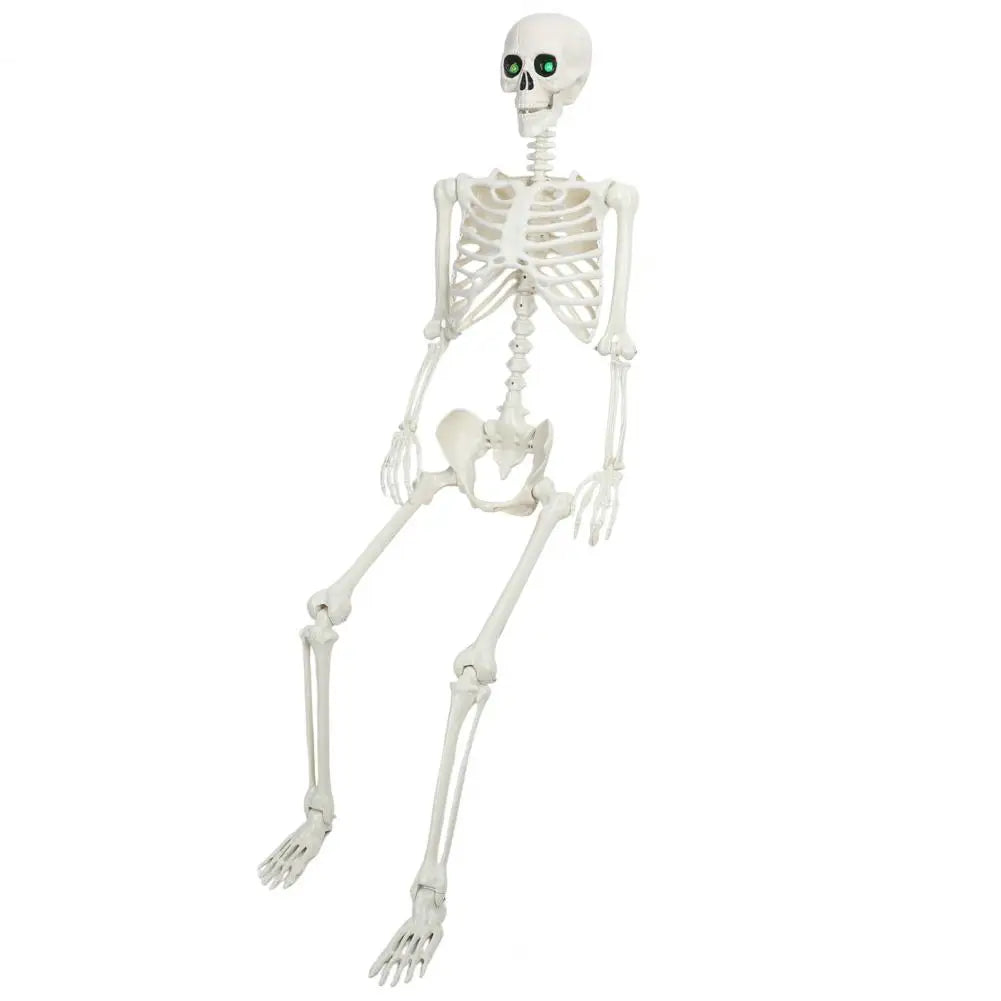 Five Point Four Feet Life Size Light Up Skeleton With Joints