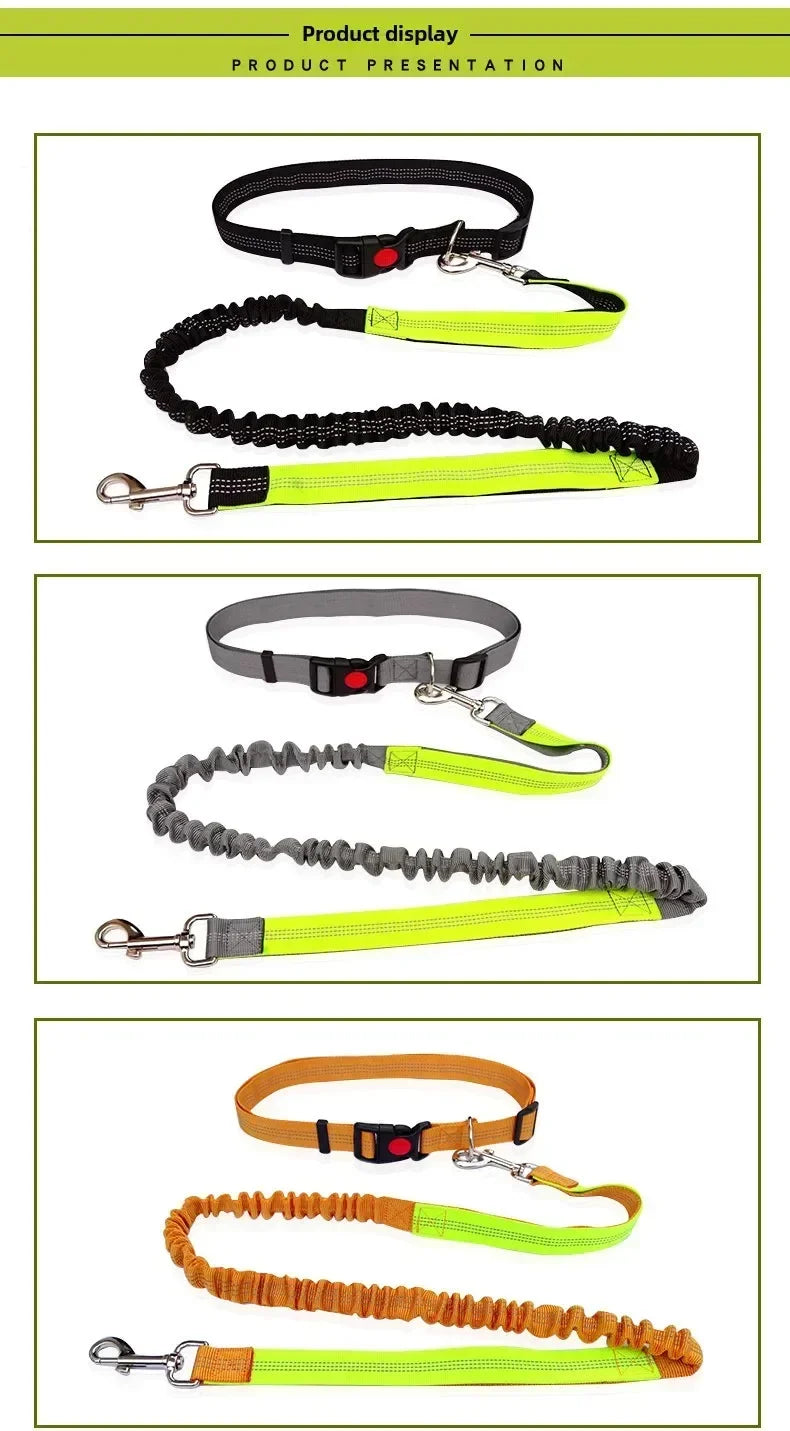 Hands Free Dog Leash For Walking Running Adjustable Belt