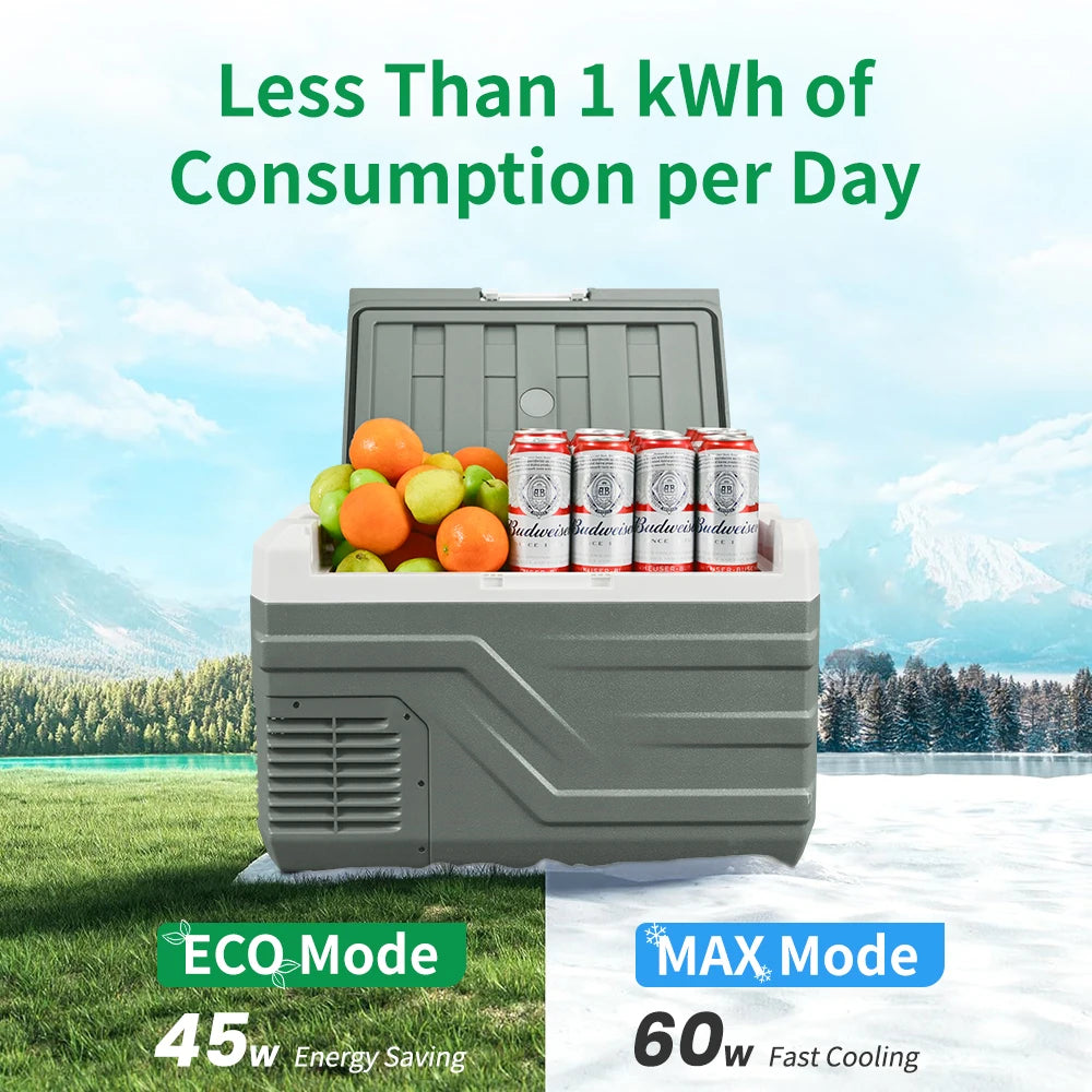 Alpicool NL 25L 35L 45L Car Refrigerator 12V Compressor Fridge Freezer Portable Cooler for Camping Travel 12V 24V DC 100240V AC