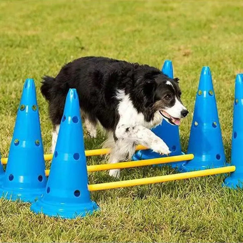 Dog Agility Training Set Jumping Bar Obstacle Hurdle Equipment For Pets