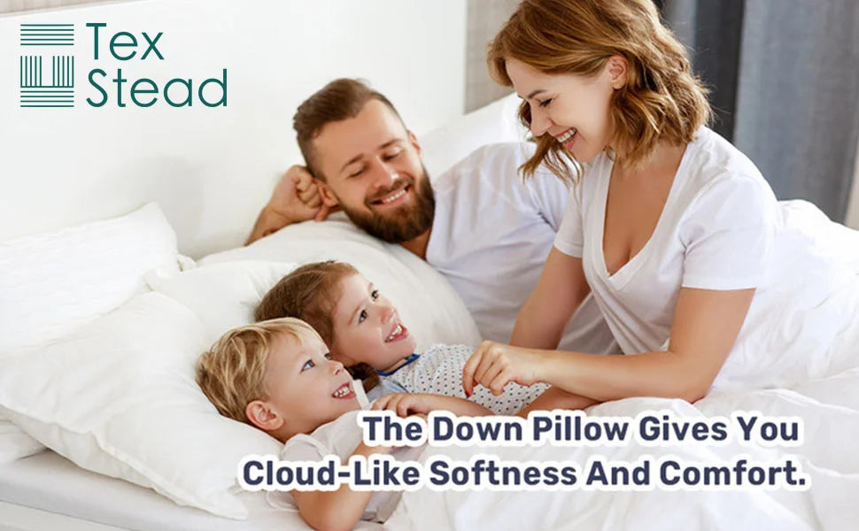 Tex Stead Goose Down Pillow 100 Percent Cotton Set Bed Pillow Luxury Hotel White Pillow Core Comfortable and Warm 2 Piece Set