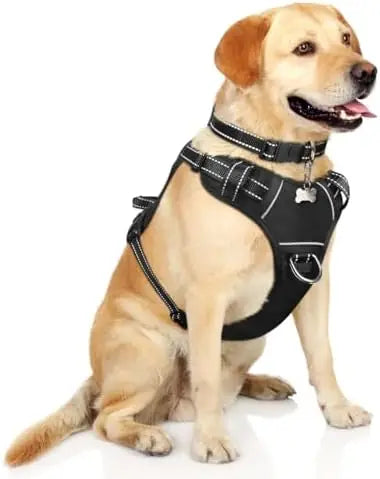 Winsee Adjustable Dog Harness With Reflective Vest And Leash Clips For All Sizes
