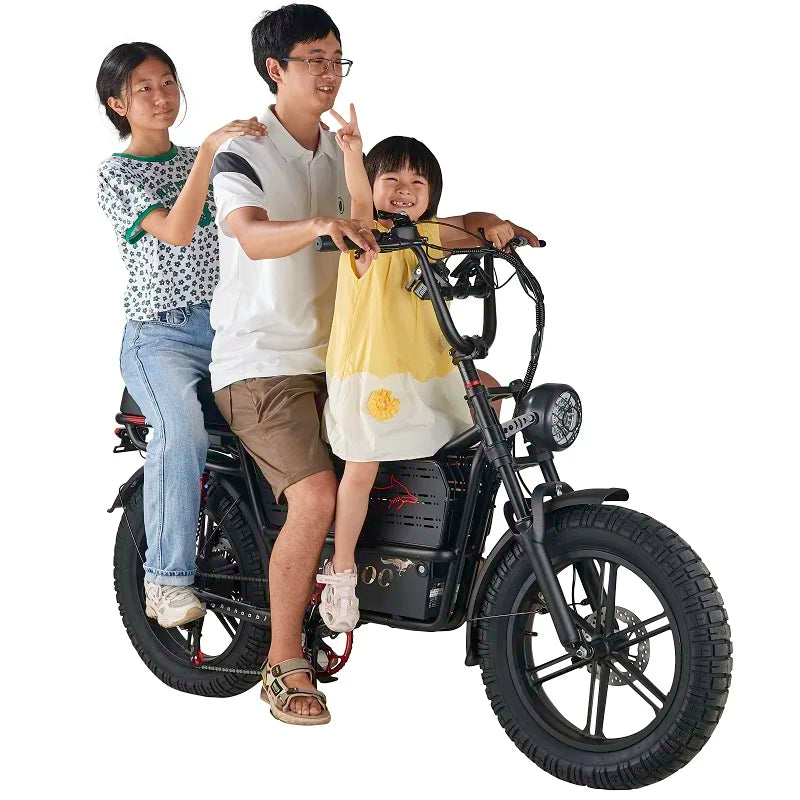 HAHOO H20 20 Inch EBike Mountain Bike 2000W Dual Suspension