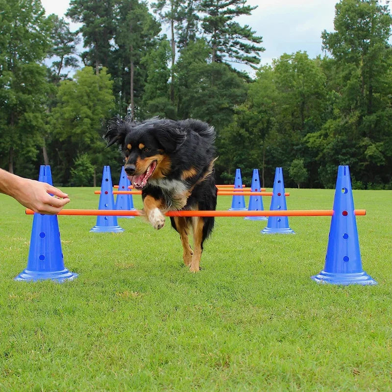 Dog Agility Training Set Jumping Bar Obstacle Hurdle Equipment For Pets