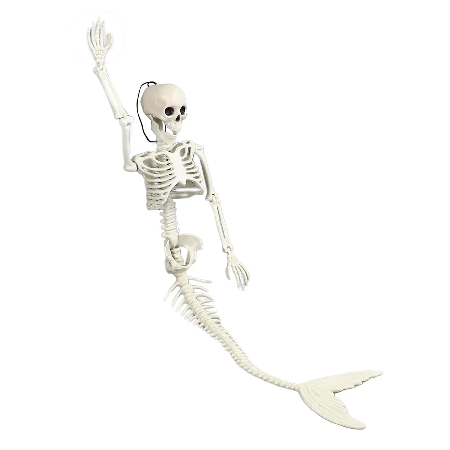 Skeleton Mermaid 80cm Length Plastic Life Size Full Body Skeleton Mermaid with Movable Joints Halloween Outdoor Decor
