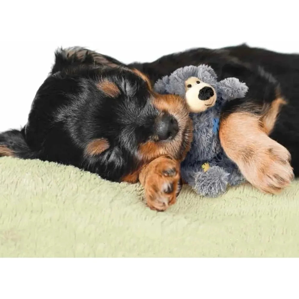 KONG Wild Knots Bears Durable Dog Toys Pack Of Two For Small And Medium Breeds