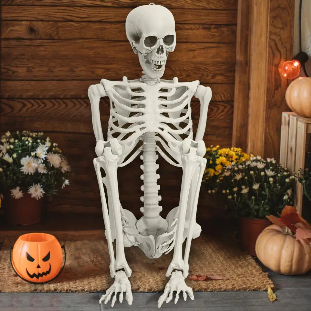 Poseable Skeleton Prop Life Size Decoration for Halloween