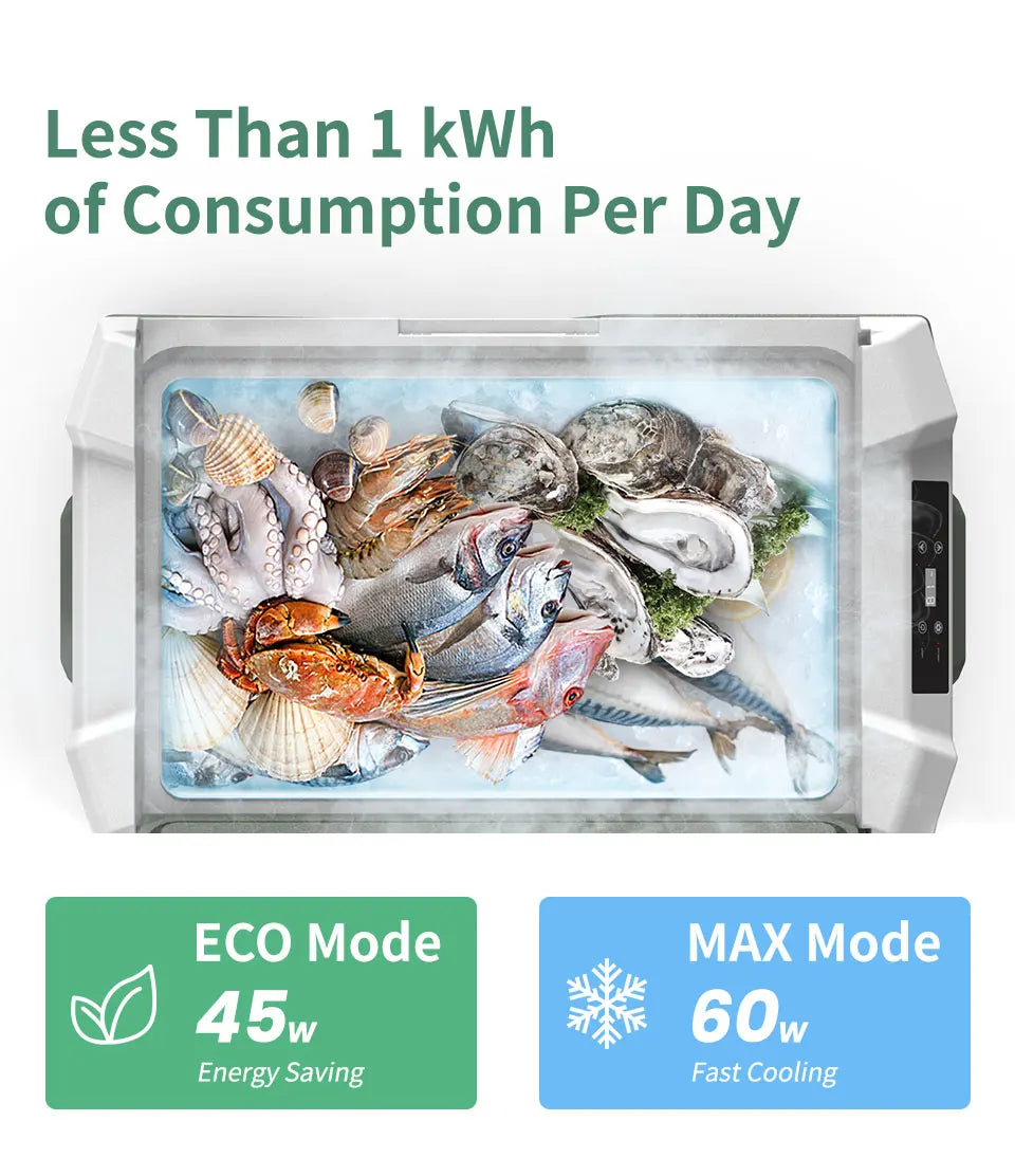 Alpicool NL 25L 35L 45L Car Refrigerator 12V Compressor Fridge Freezer Portable Cooler for Camping Travel 12V 24V DC 100240V AC