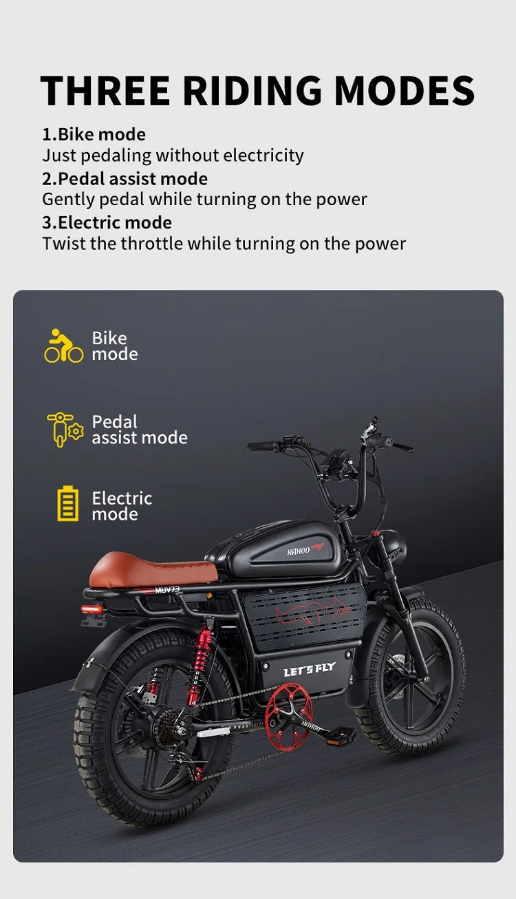 HAHOO H20 20 Inch EBike Mountain Bike 2000W Dual Suspension