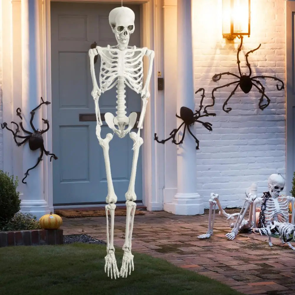 Poseable Skeleton Prop Life Size Decoration for Halloween