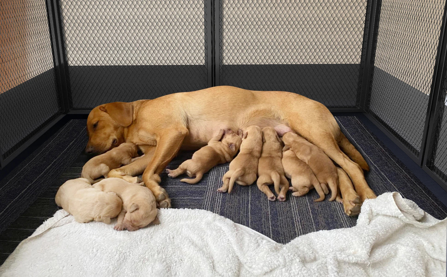 8 Panels Heavy Duty Dog Playpen Outdoor Indoor Fence Pad