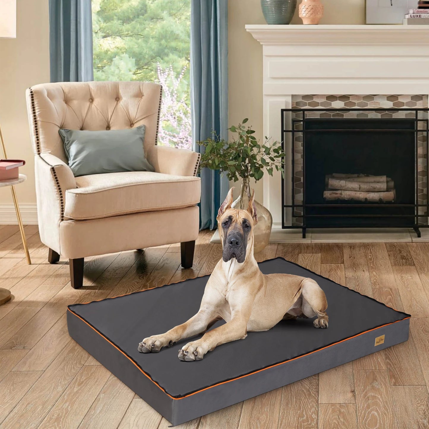 Large Orthopedic Dog Bed With Removable Washable Cover Padded Foam Cushion