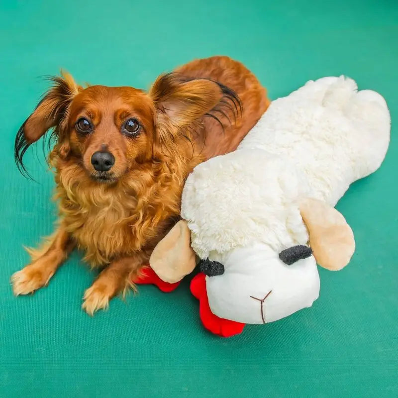 Jumbo Lamb Chop Plush Dog Toy 24 Inch Squeaky Chew Toy