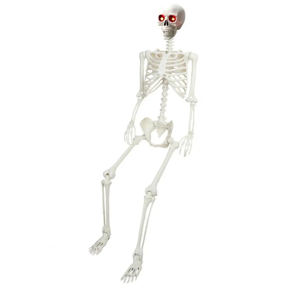 5.4Ft Life Size Light Up Skeleton With Movable Joints