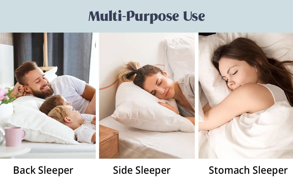 Tex Stead Goose Down Pillow 100 Percent Cotton Set Bed Pillow Luxury Hotel White Pillow Core Comfortable and Warm 2 Piece Set