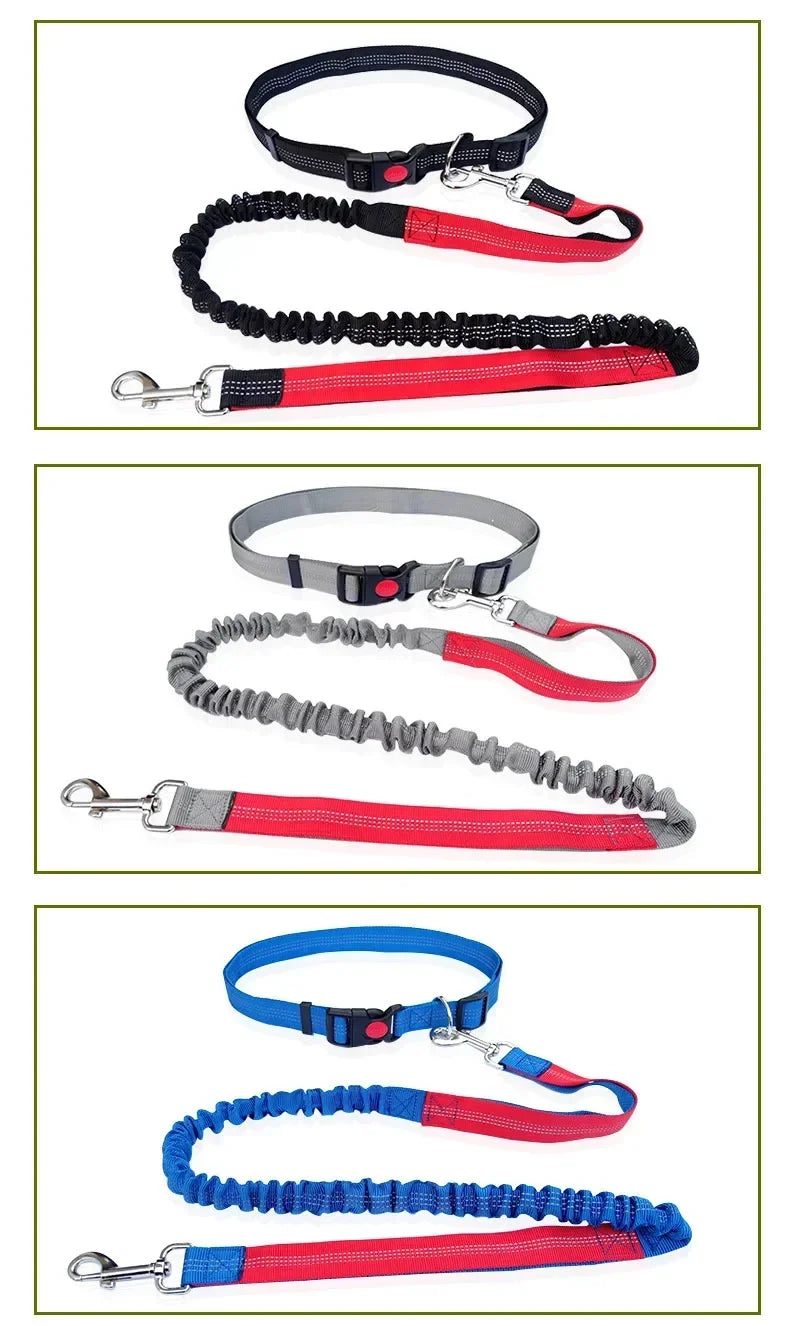 Hands Free Dog Leash For Walking Running Adjustable Belt