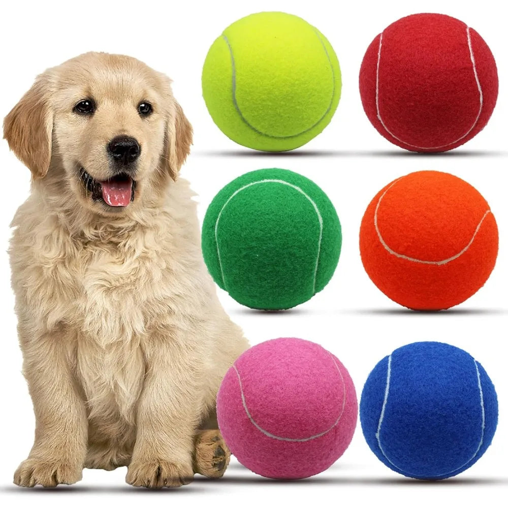 Magicorange Large Tennis Balls for Dogs 6 Pack 4 Inch Toy
