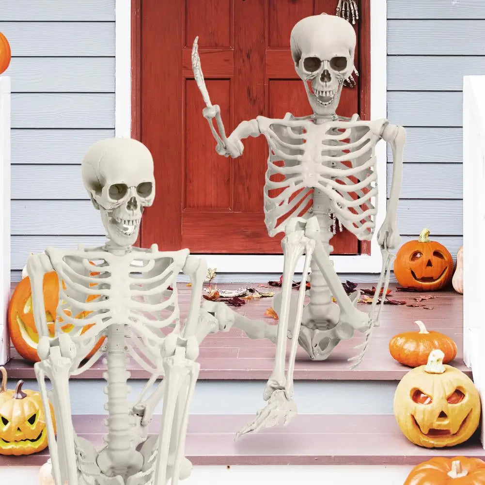 5.4Ft Poseable Skeleton Movable Joints Life Size Halloween