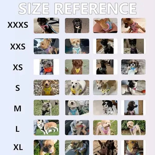 Adjustable Dog Harness And Leash Set Padded Vest Easy Fit For Small Pets