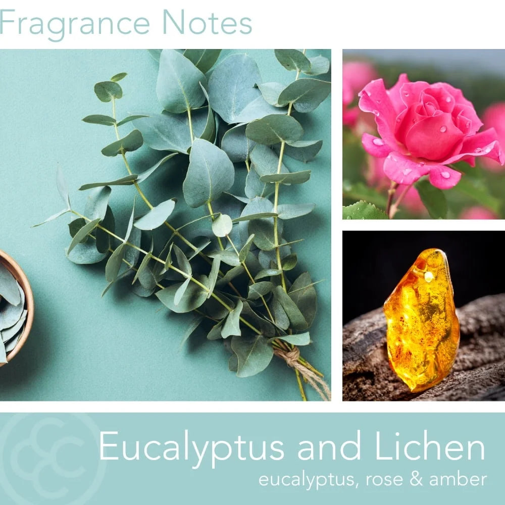 Eucalyptus Lichen Aromatherapy Candle With Soy Wax 2 Wicks 60 Hour Burn Time
