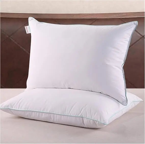 Queen Size Pillow Set Of 2 With Soft Cotton Cover 20x30