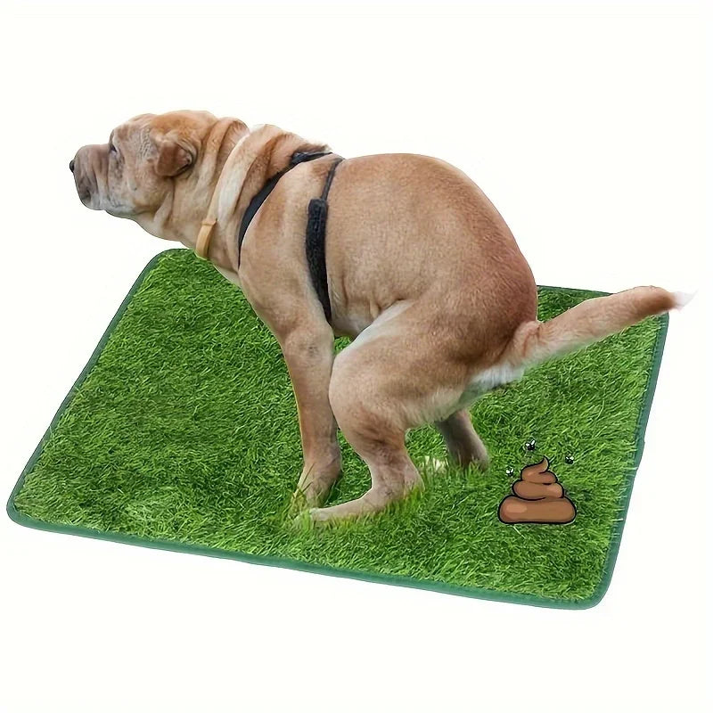 Washable Dog Grass Mat With Non Slip Backing For Training And Odor Control