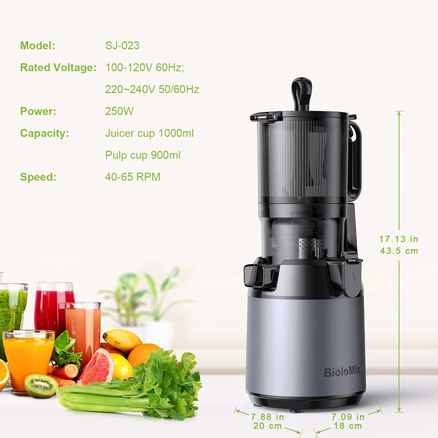 BioloMix Cold Press Juicer 130mm Feed Chute Whole Fruits Vegetables High Juice Yield BPA Free Slow Masticating Juicer