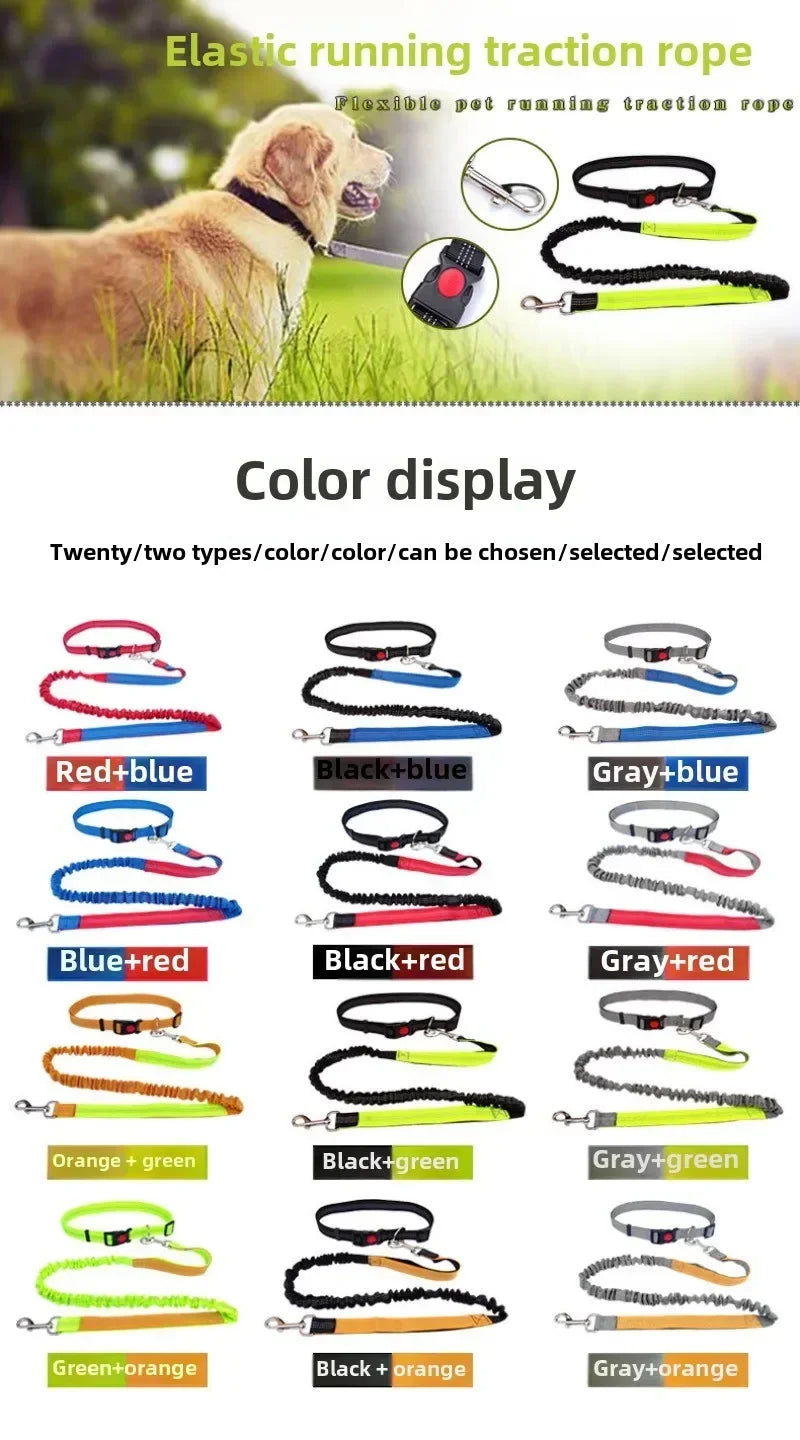 Hands Free Dog Leash For Walking Running Adjustable Belt