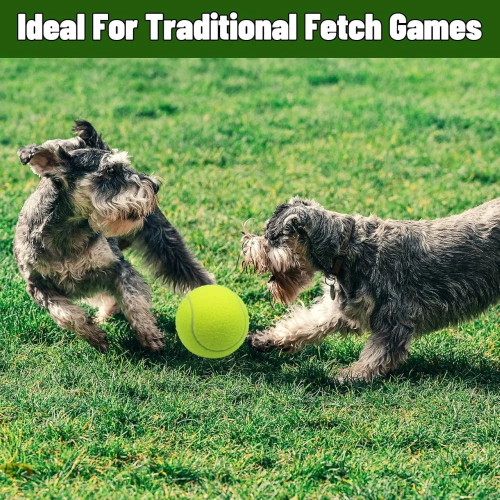 Magicorange Large Tennis Balls for Dogs 6 Pack 4 Inch Toy