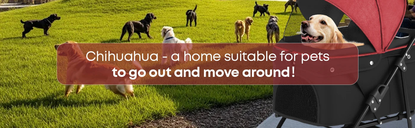 Portable Foldable Pet Stroller For Small Dogs And Cats Carrier With Canopy