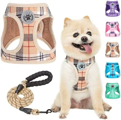 Safe Harness for Small Dogs and Cats Reflective Plaid Set
