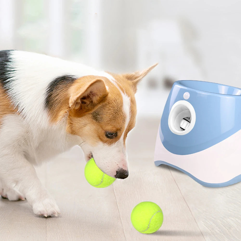 Automatic Mini Tennis Ball Launcher For Dogs Interactive Catapult Pinball Toy