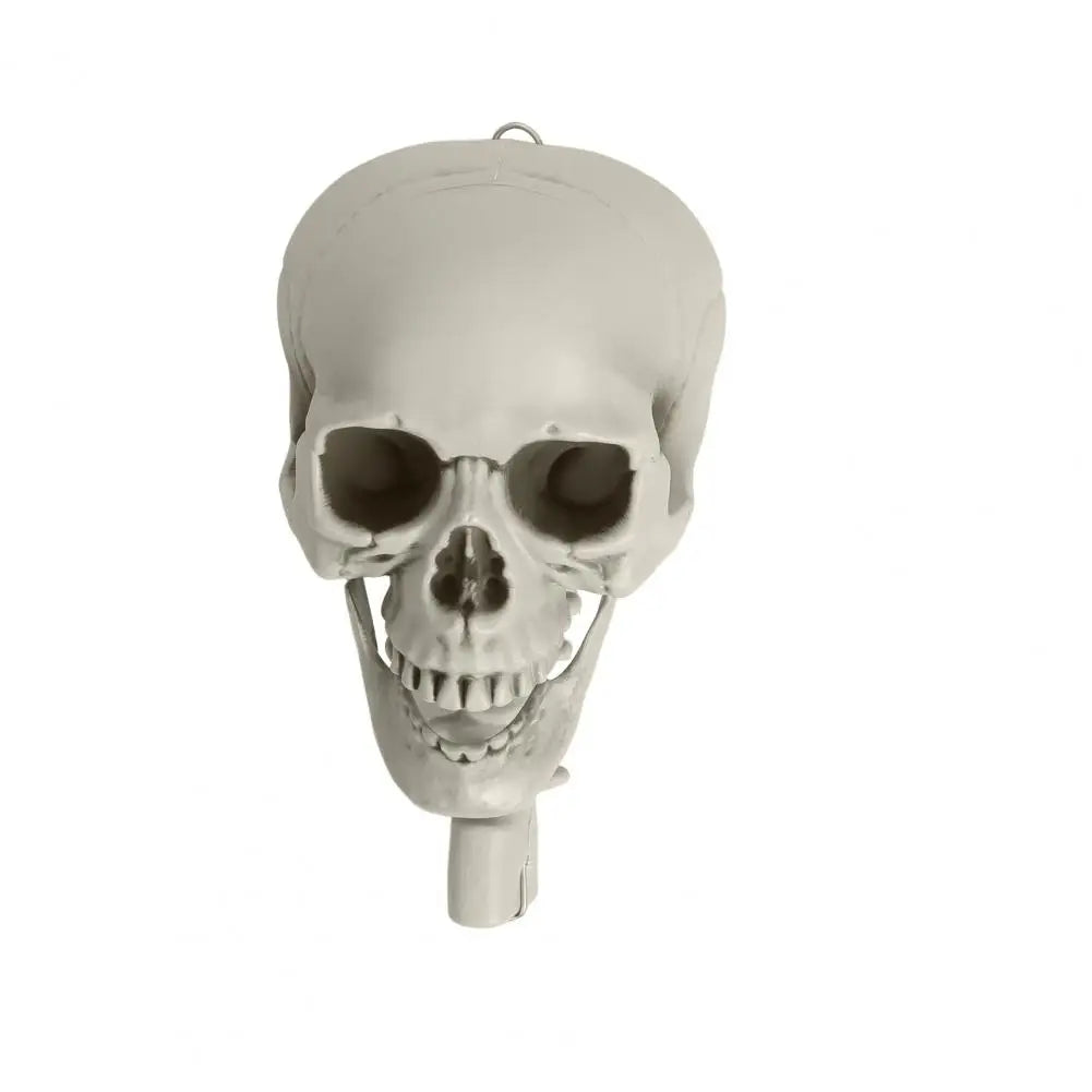 5.4Ft Poseable Skeleton Movable Joints Life Size Halloween