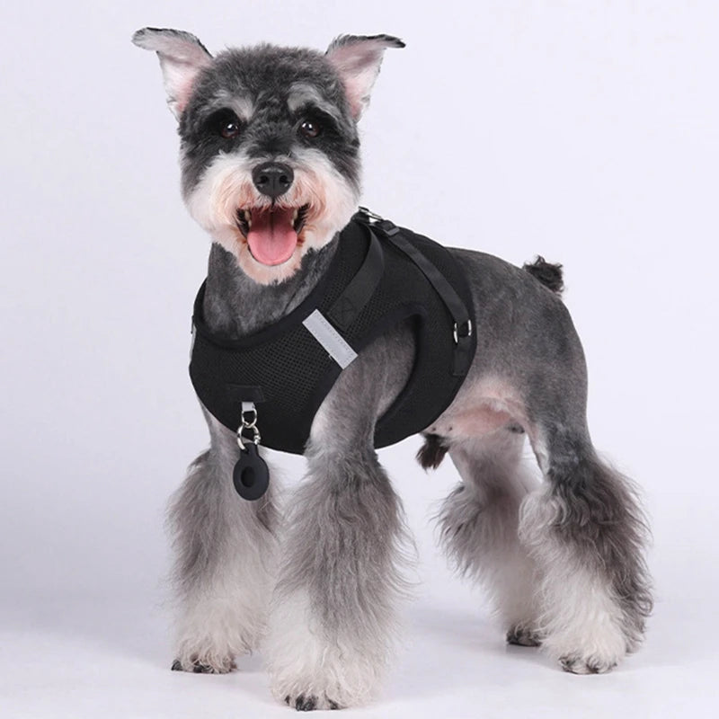 Nylon Pet Harness And Leash Set For Small And Medium Dogs And Cats Chest Strap