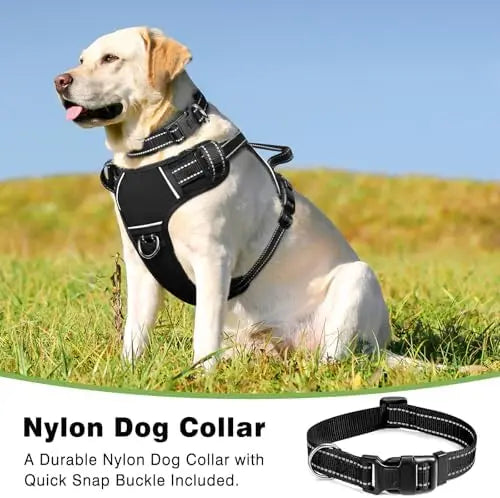 Winsee Adjustable Dog Harness With Reflective Vest And Leash Clips For All Sizes