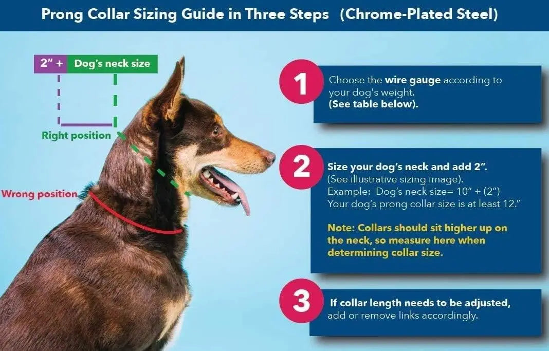 German Made Prong Dog Collar With Quick Release Buckle 4.0mm XL 26-31in