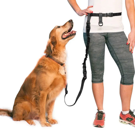 Hands Free Dog Leash Adjustable For Running And Training Made In USA Bundle