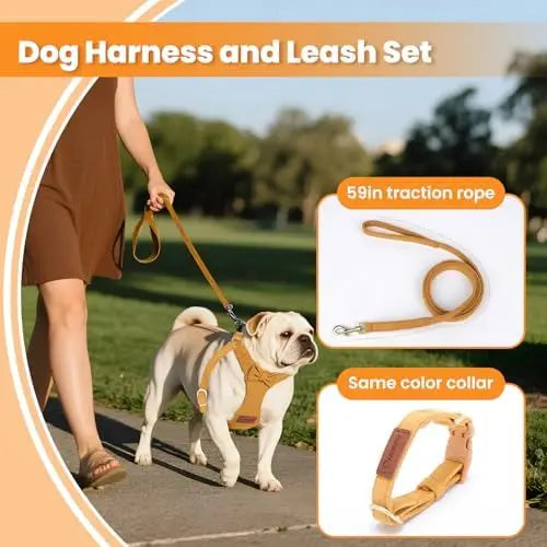 Adjustable Small Dog Harness With Leash 1.5m Puppies Yellow XS